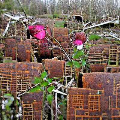Forgotten Wild Rose Orchard: AI Generated Image