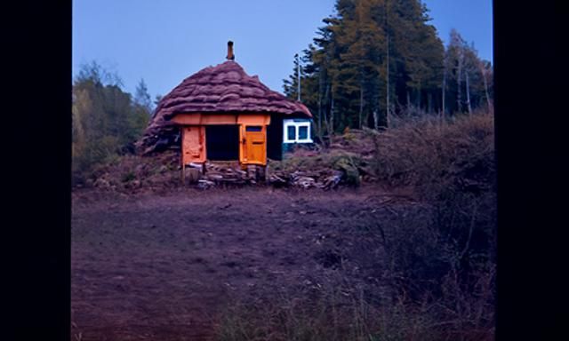 Whimsical Forest Hut in Wes Anderson Style