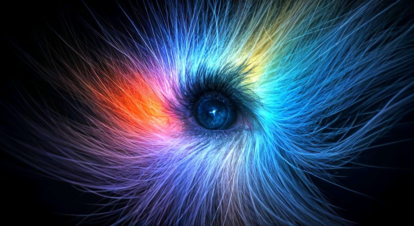 Abstract Transition Visualized