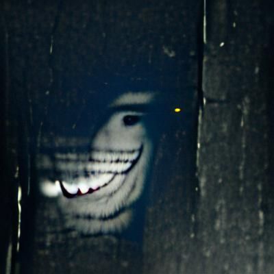 Eerie Smile in the Dark: A Glimpse of Mystery