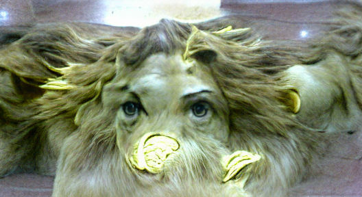 Majestic Lion Portrait