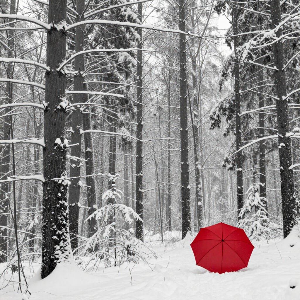Red Umbrella in Snowy Forest