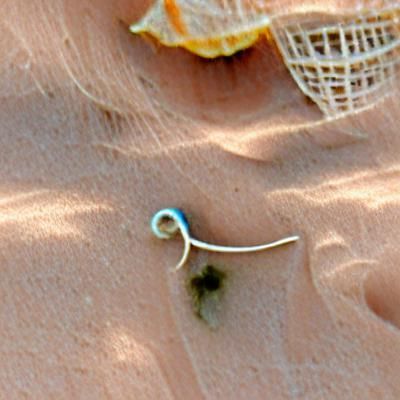 Dangling earring found by a seaside hammock on Venus