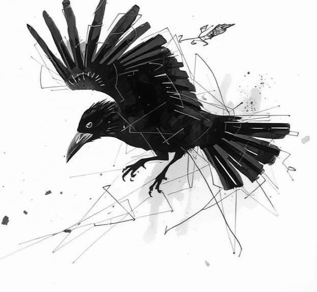 Abstract Crow in Flight: Minimalist Line Art