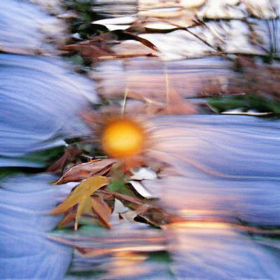 Evocative Image of Spiritual Awakening