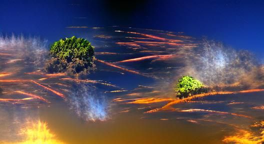 Explosion Devastates Forest Under Clear Sky