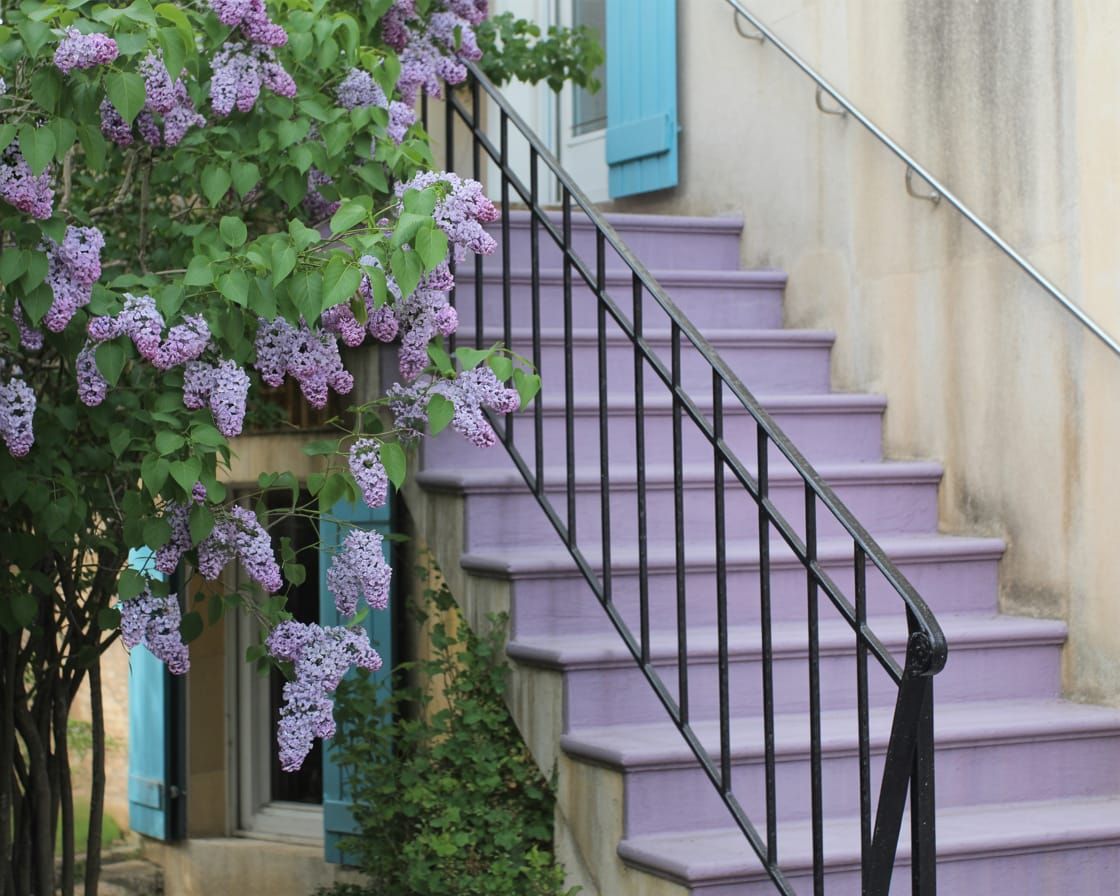 Provence House with Lilacs in Impressionistic Style