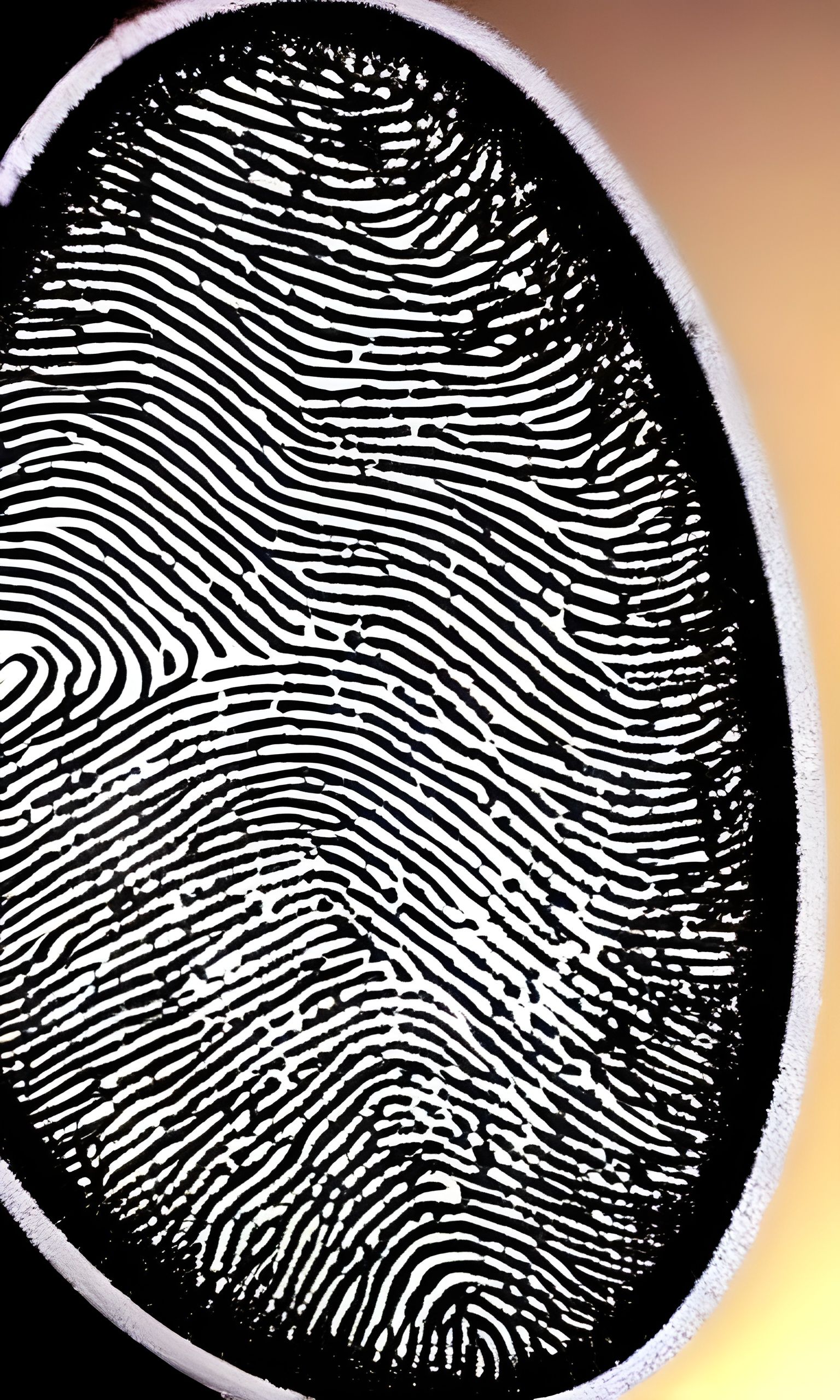 Detective Finds Fingerprint at Crime Scene