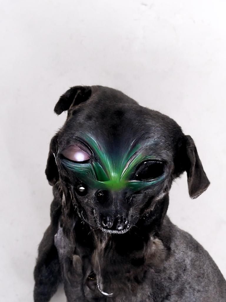 An Alien Dog Generated by AI