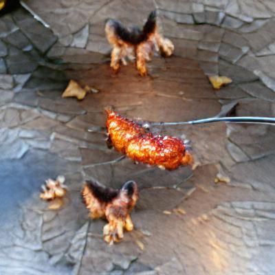 Unspecified Image Content