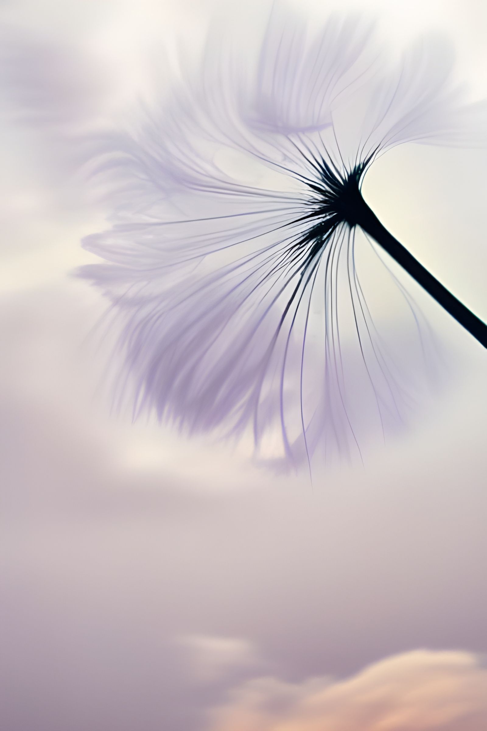 Surreal Sky with Souls in Dreamy Ultrarealism