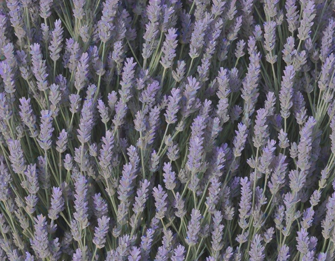 Groovy Lavender Landscape in Muted Grey Tones