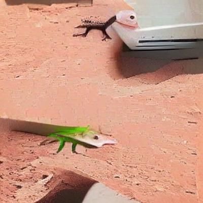 A Racist Lizard