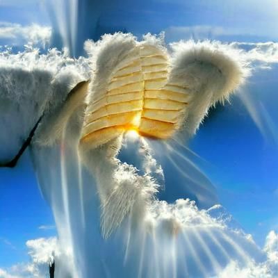 Ethereal Angel Wings in Divine Light