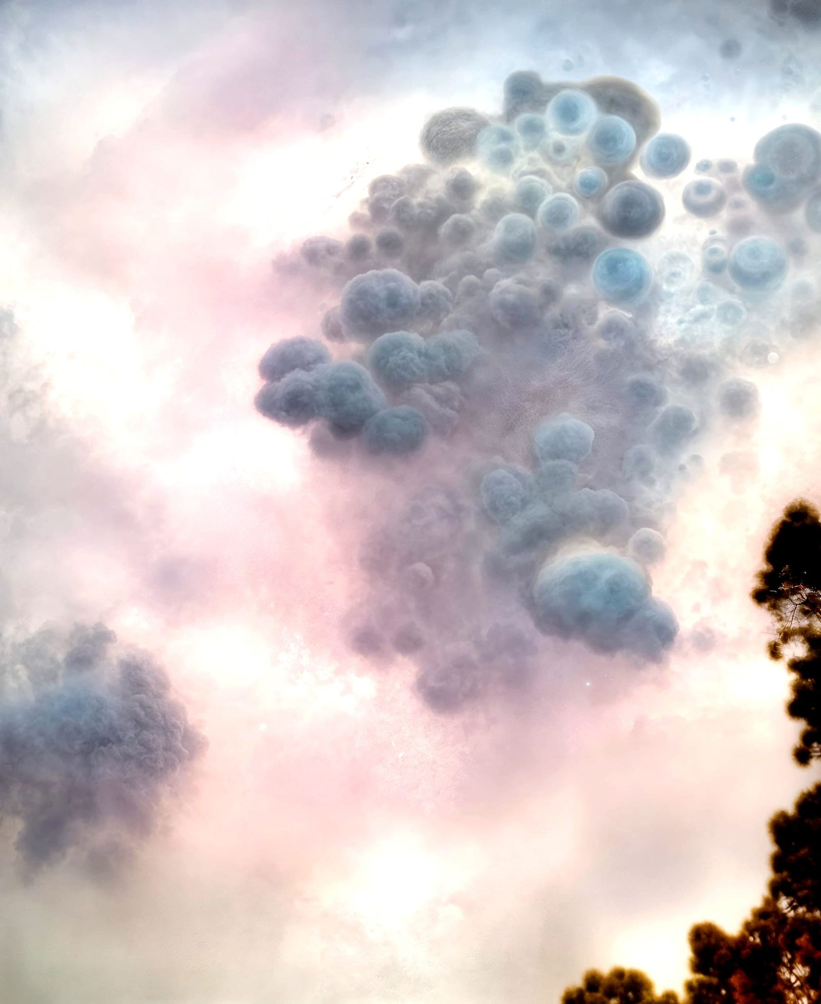 Surreal Biological Dreamscape in Magical Realism