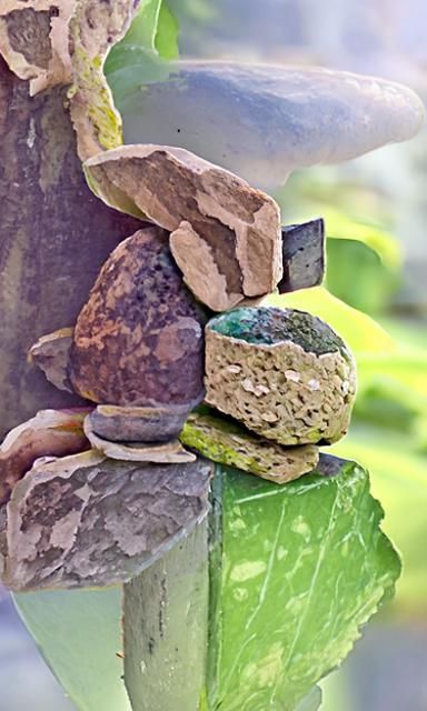 Constructing Stone: A Study in Balance