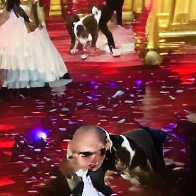 Pitbull Wins Prom King: Humorous AI Image