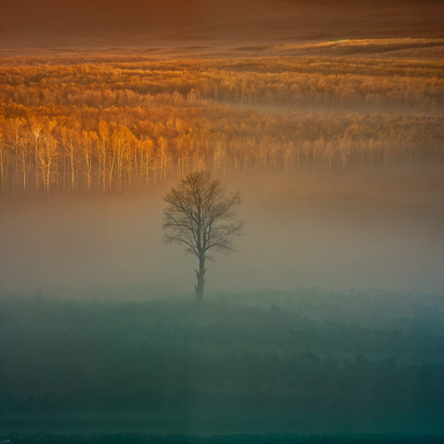 Mystical Wizard in Soft Focus