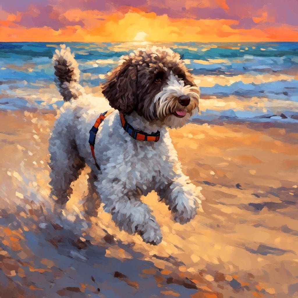 Duke Running In Sunset Beach