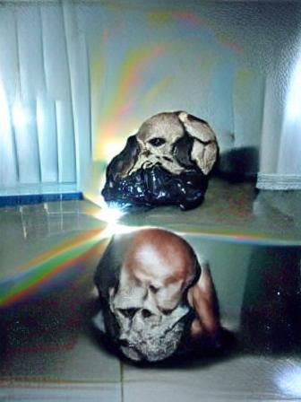 Photorealistic Plastic Human Skull in Dark Setting