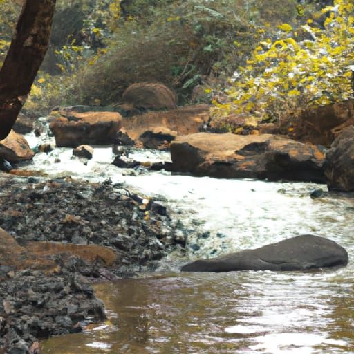 Amazon River Through Forest: Professional Photography