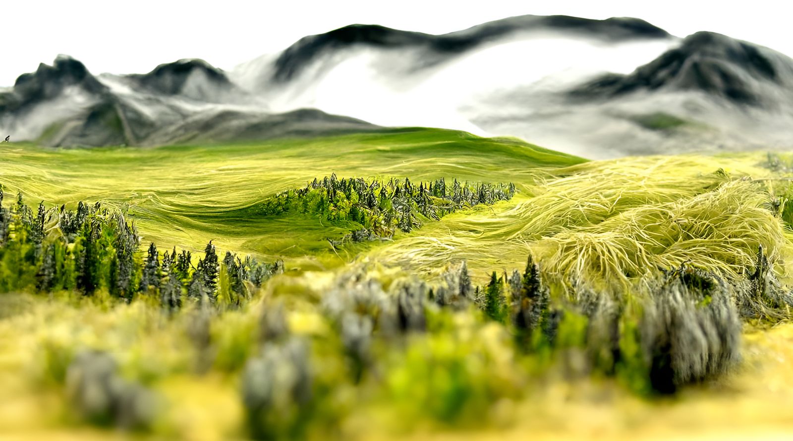 Detailed Hairy Landscape Vista Photography