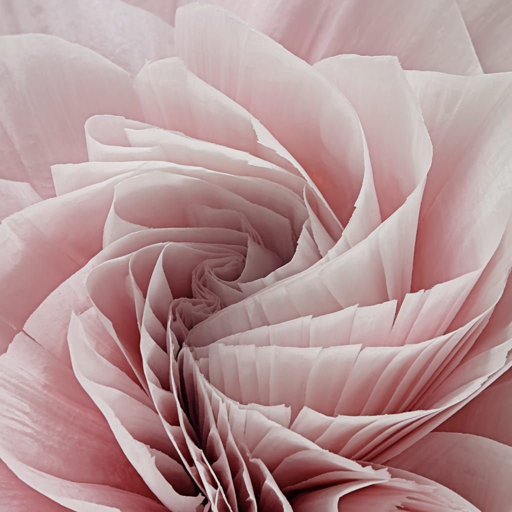 Soft Pink Single-Tone Texture Background