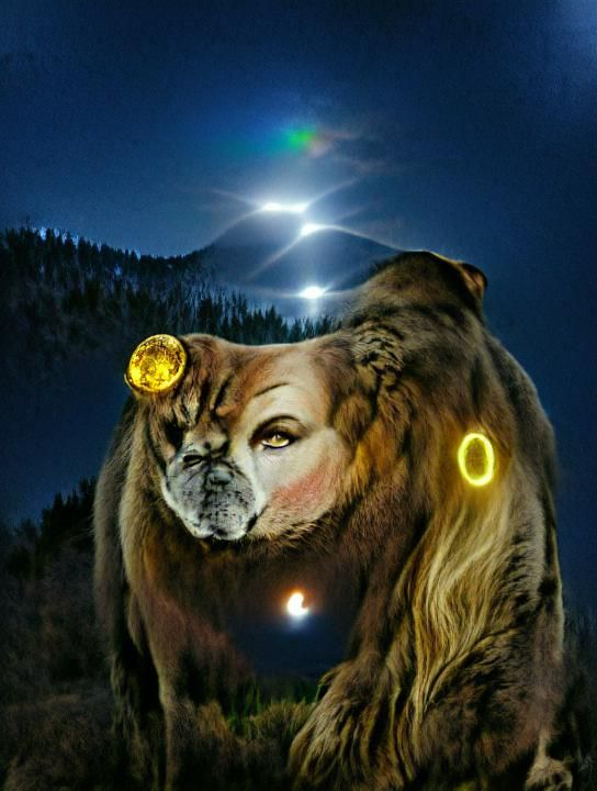 Airbrushed Iridescent Moon Shines on Mountain Lion