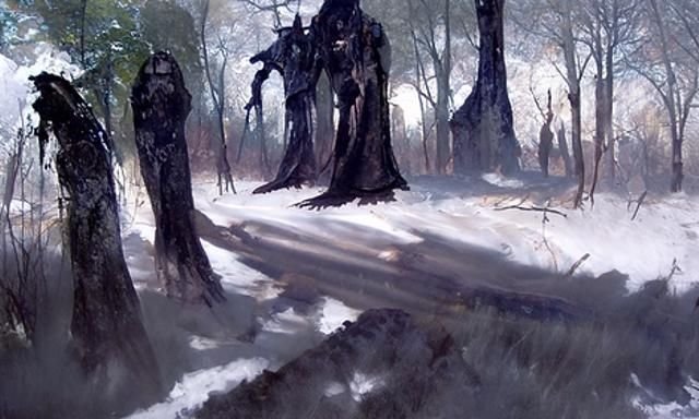 Shadows