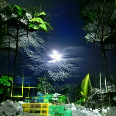 Image of a Scene Bathed in Bright Moonlight