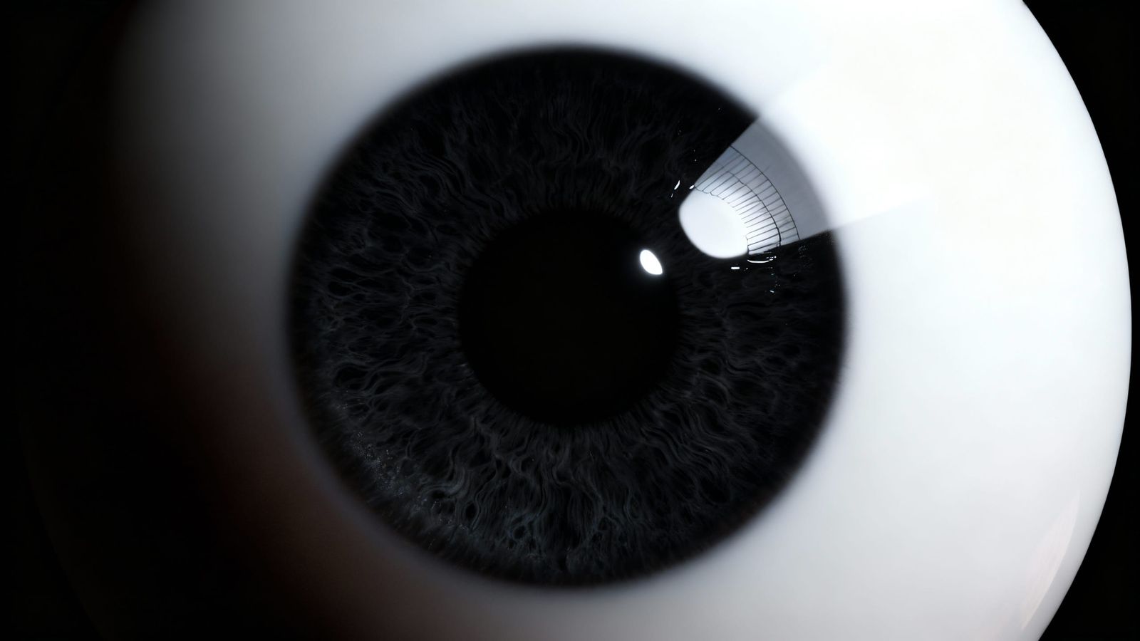Hyperrealistic 3D Human Eye: Black Iris, White Cornea