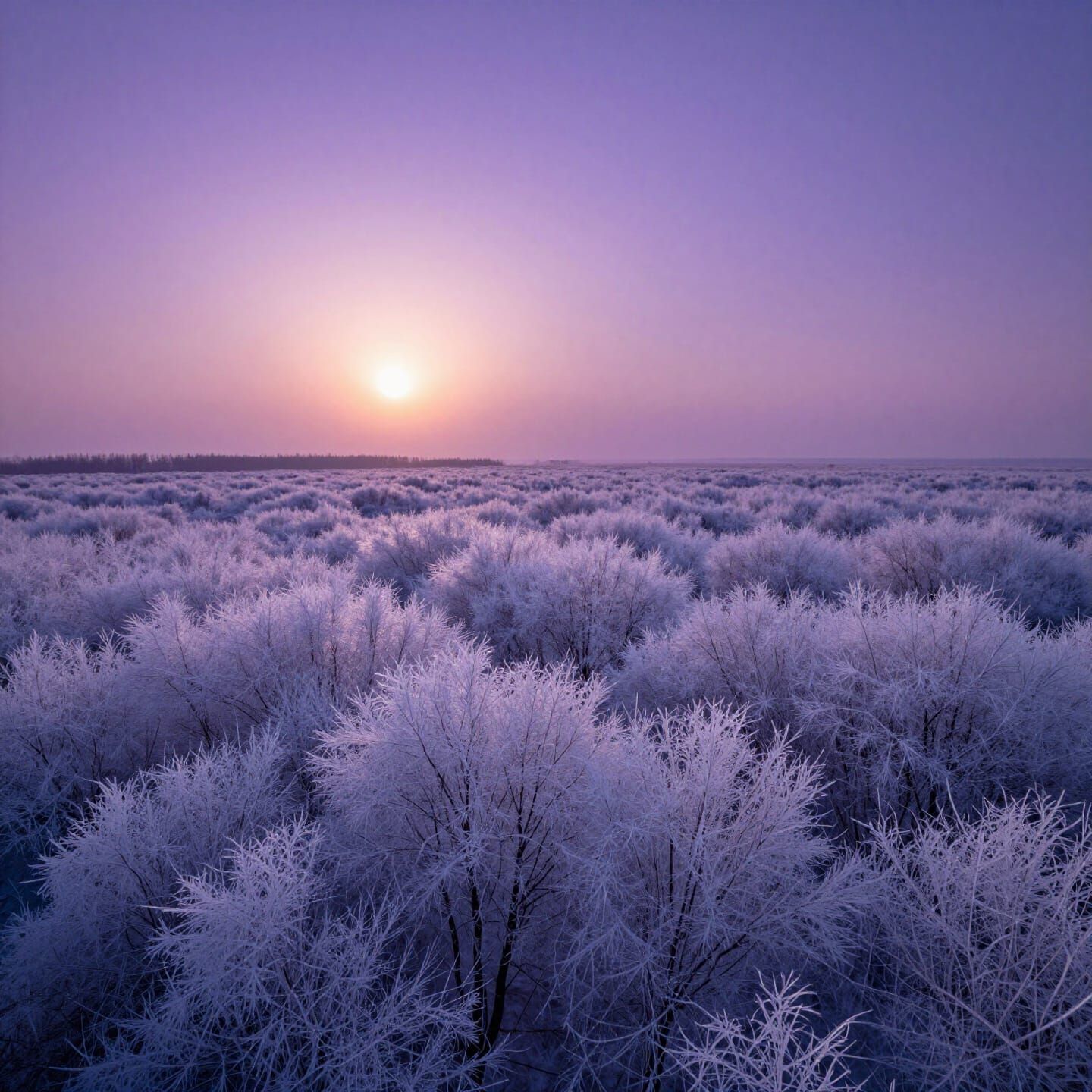 Alien Landscape With Twin Suns and Glassy Trees