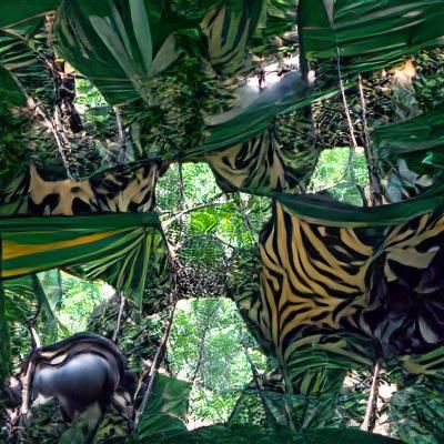 Hidden Wildlife in Jungle Canopy