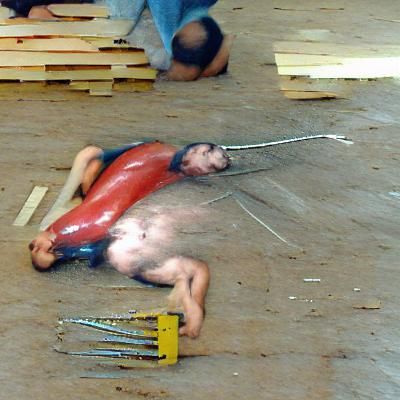 Graphic Image: Man Undergoing Disembowelment