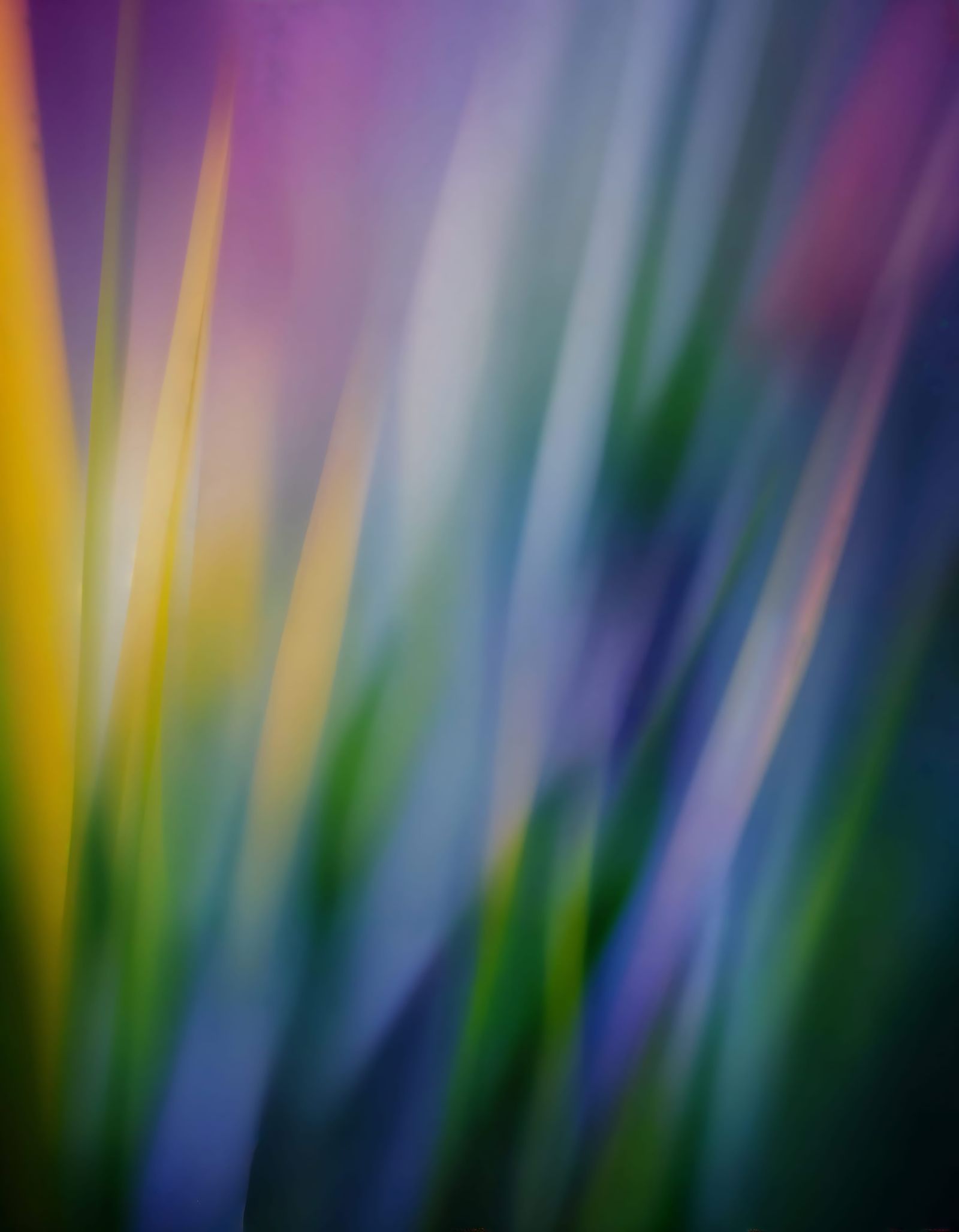 Dreamy Pastel Blur Botanical Flora in Painterly Style
