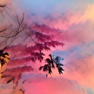 Vibrant Landscape with Pink Skies