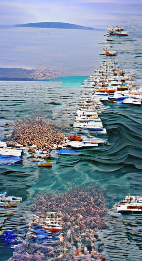 AI Realization of a Sea of Split Meaning