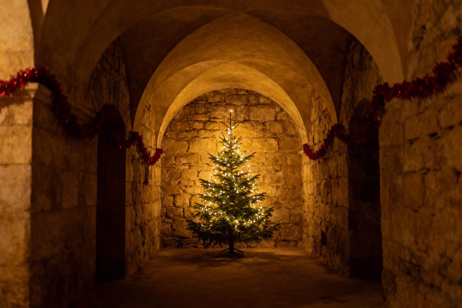 Christmas in the Crypt: A Haunting Holiday Scene