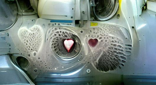 Surreal Washing Machine Heart Still Life
