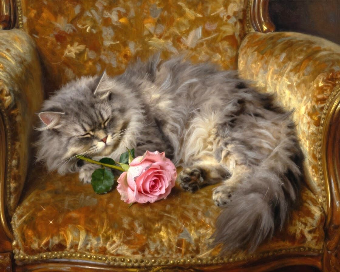 Fluffy Persian Cat Sleeps by Pink Rose Oil Painting