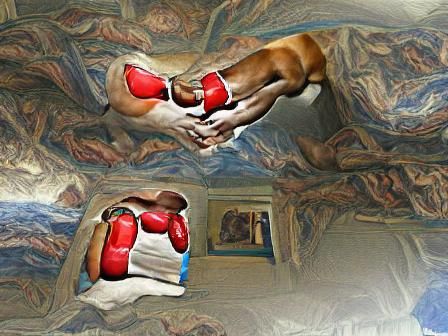 Boxers in Heavenly Encounter