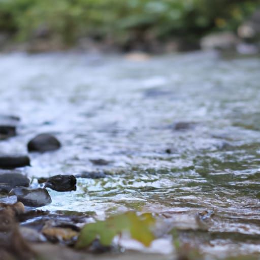 River in Natural Light: Professional Photography