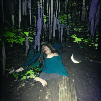 Moonlit Woods: A Tranquil Forest Scene
