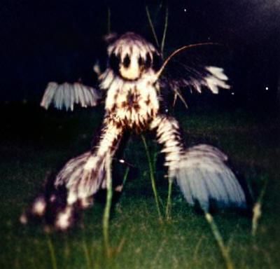 Eerie Winged Creature with Reflective Eyes in the Dark