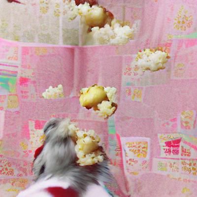 Detailed Image of Freshly Popped Popcorn