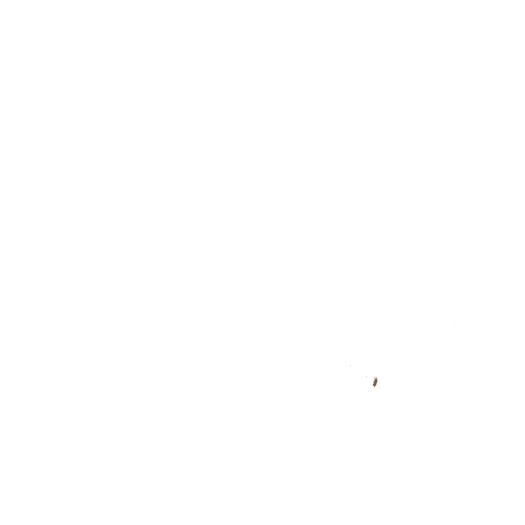 Luxurious Outdoor Living Spaces in Cinematic Style