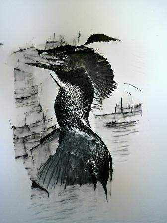 cormorant ink drawing