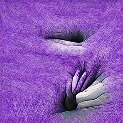 Abstract Visualization of Asexual Reproduction
