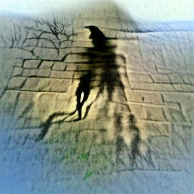 Haunting Shadow Chase: Fear and Beauty