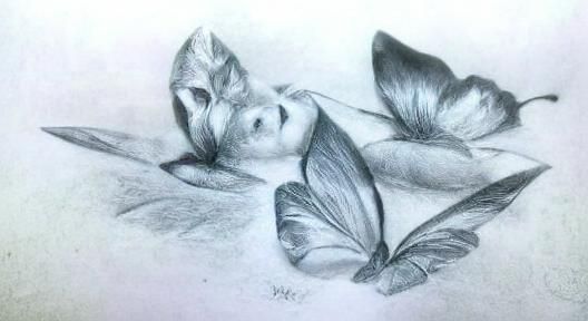 Pencil Sketch of a Butterfly